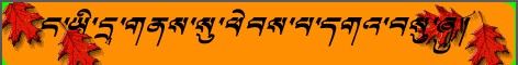 དཀོན་མཆོག་བོད་རང་བཙན་དྲྭ་ཚིགས།